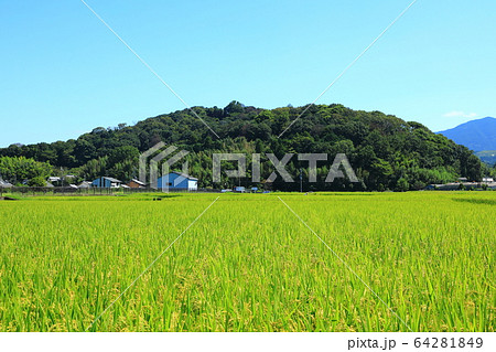 天香具山と田園風景 天香具山と田園風景 64281849