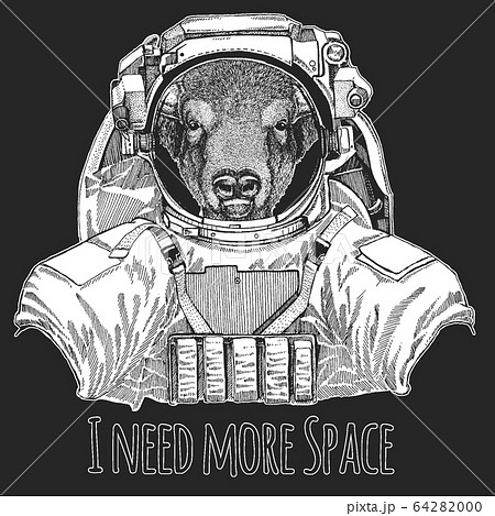 Buffalo, bison, bull head. Wild animal wearing space suit. Portait of animal. Buffalo, bison, bull head. Wild animal wearing space suit. Portait of animal. 64282000