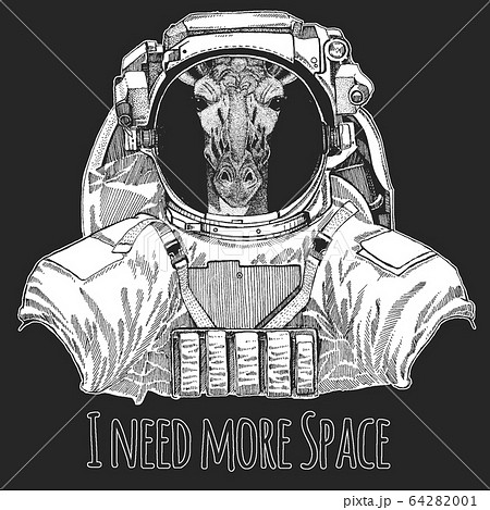 Zebra portrait. Wild animal wearing space suit. Head of wild animal. Zebra portrait. Wild animal wearing space suit. Head of wild animal. 64282001
