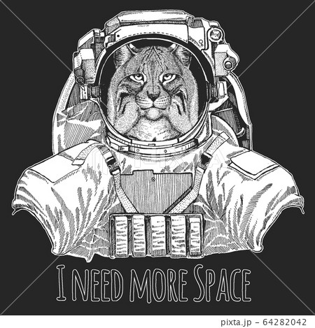 Lynx, bobcat, trot portrait. Wild animal wearing space suit. Head of wild cat. Animal face. 64282042