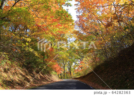 紅葉の西の郷遊歩道 紅葉の西の郷遊歩道 64282363