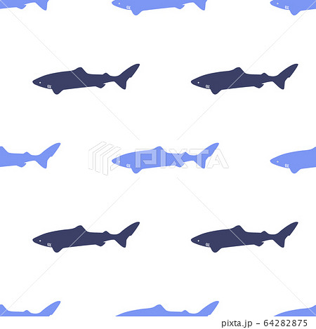 Seamless pattern with icon polar atlantic sharks. Modern vector illustration for web design or print. 64282875