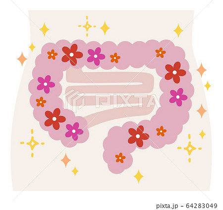 腸内フローラ　健康な腸 64283049