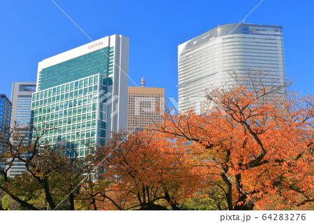 【東京都】浜離宮の紅葉と汐留高層ビル 【東京都】浜離宮の紅葉と汐留高層ビル 64283276