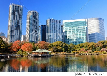 【東京都】浜離宮の紅葉と汐留高層ビル 64283277