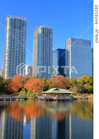 【東京都】浜離宮の紅葉と汐留高層ビル 【東京都】浜離宮の紅葉と汐留高層ビル 64283280