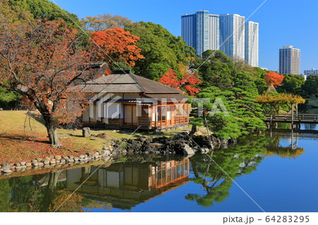 【東京都】紅葉の浜離宮燕の御茶屋 【東京都】紅葉の浜離宮燕の御茶屋 64283295
