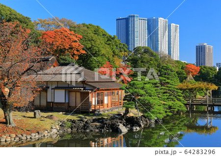 【東京都】紅葉の浜離宮燕の御茶屋 64283296