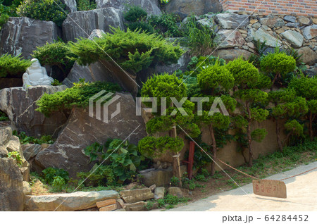 Buddhist temple in Busan in summer 64284452