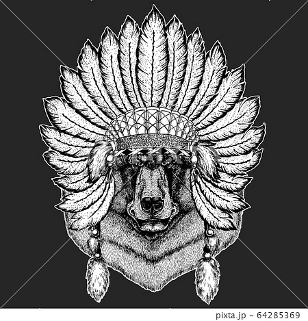 Wild bear. Indian tribal traditional headdress with feathers. Portrait of animal for emblem, logo, tee shirt. 64285369