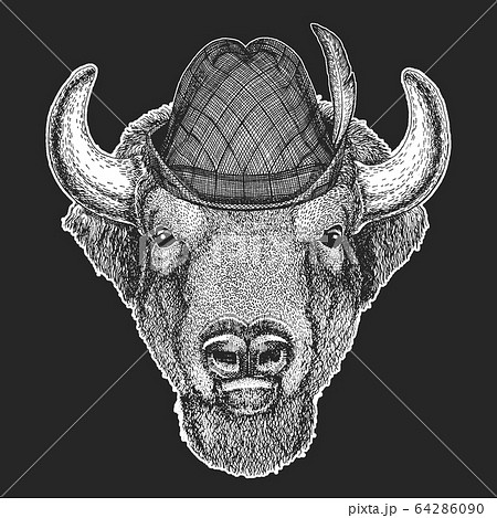 Buffalo, bison, bull head. Oktoberfest. Tirol traditional hat. Beer festival. Portait of animal. 64286090