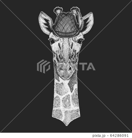 Zebra portrait. Oktoberfest. Tirol traditional hat. Beer festival. Head of wild animal. 64286091