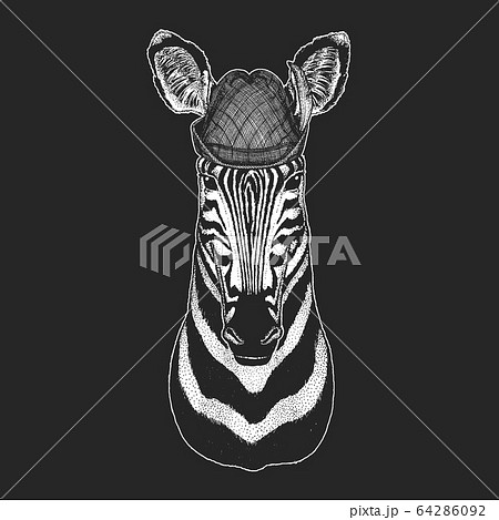 Zebra portrait. Oktoberfest. Tirol traditional hat. Beer festival. Head of wild animal. 64286092
