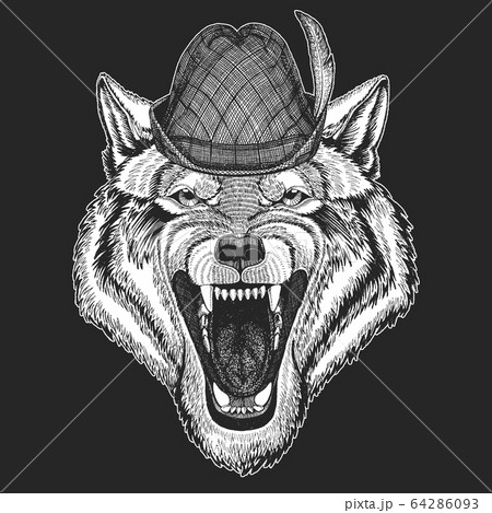 Wolf portrait. Oktoberfest. Tirol traditional hat. Beer festival. Head of wild animal. 64286093