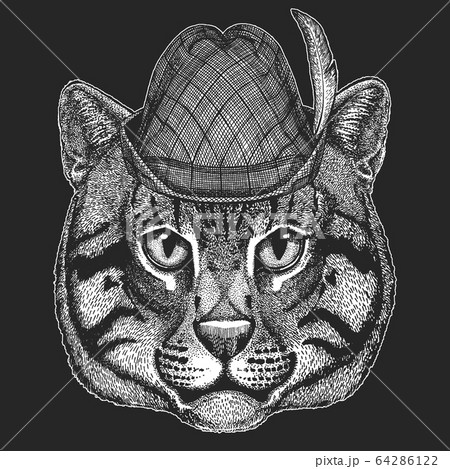 Face of domestic cat. Oktoberfest. Tirol traditional hat. Beer festival. Portrait of animal. Cute kitty, kitten. Face of domestic cat. Oktoberfest. Tirol traditional hat. Beer festival. Portrait of animal. Cute kitty, kitten. 64286122