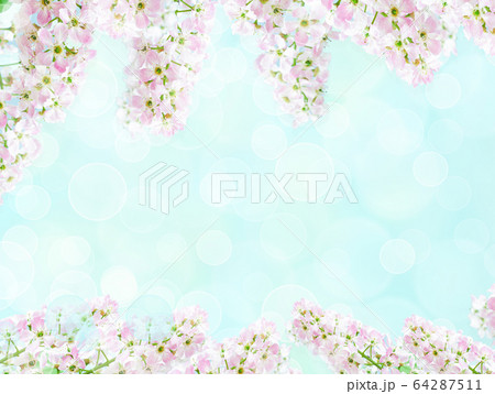 Blossom cherry flowers. Spring flowers on blurred 64287511