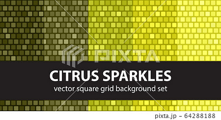Square pattern set Citrus Sparkles. Vector Square pattern set Citrus Sparkles. Vector 64288188