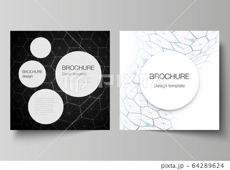 Vector layout of two square format covers design templates for brochure, flyer. Digital technology and big data concept with hexagons, connecting dots and lines, polygonal science medical background. Vector layout of two square format covers design templates for brochure, flyer. Digital technology and big data concept with hexagons, connecting dots and lines, polygonal science medical background. 64289624