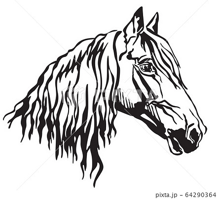 Decorative portrait of Orlov Trotter horse vector Decorative portrait of Orlov Trotter horse vector 64290364