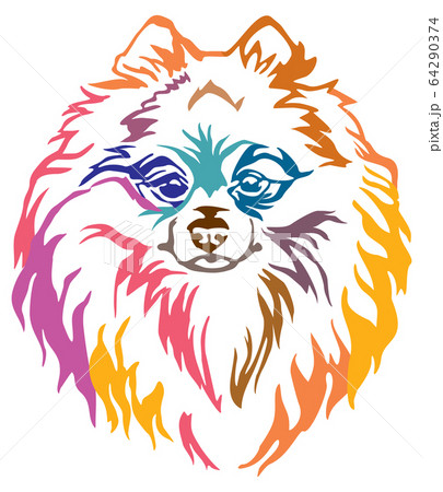 Colorful decorative portrait of Dog Pomeranian Colorful decorative portrait of Dog Pomeranian 64290374