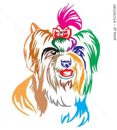 Colorful Decorative Portrait Of Dog Biewer Terrierのイラスト素材