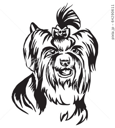 Decorative Portrait Of Dog Biewer Terrier Vectorのイラスト素材