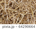Straw, hay background texture 64290664