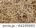 Straw, hay background texture 64290665