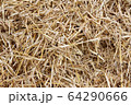 Straw, hay background texture 64290666