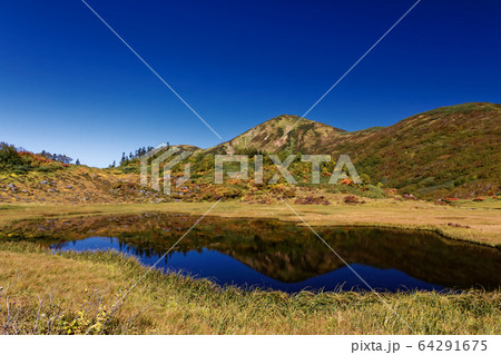 紅葉の天狗の庭から望む秋の火打山の写真素材