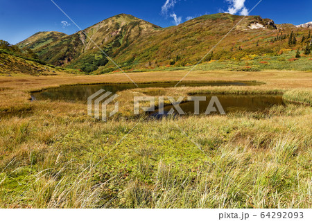 秋の妙高連峰・天狗の庭から見る紅葉の火打山 64292093