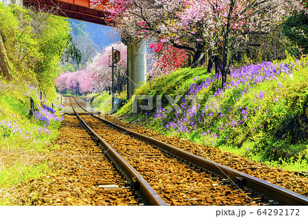春のローカル鉄道 64292172