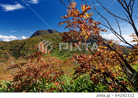 黒沢池付近の紅葉と妙高山 黒沢池付近の紅葉と妙高山 64292312