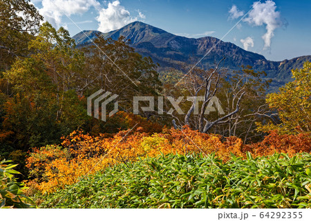 妙高連峰・大倉乗越の紅葉と火打山 64292355