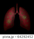 lungs icon covid 19 sign lungs with virus icon COVID-19 SARS-CoV-2 coronavirus 3d illustration 64292452