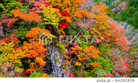 付知峡の紅葉の写真素材