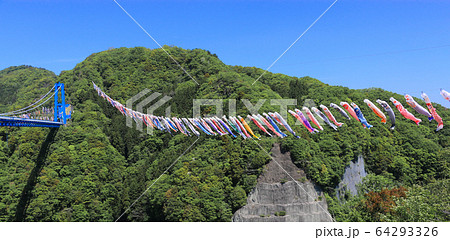 青空に舞う鯉のぼり 竜神峡鯉のぼりまつり の写真素材