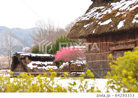 雪景色の科野のムラ 雪景色の科野のムラ 64293353