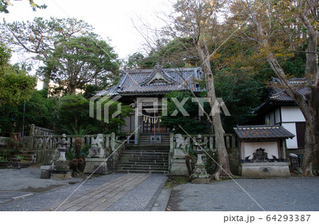 伊豆稲取の八幡神社 伊豆稲取の八幡神社 64293387