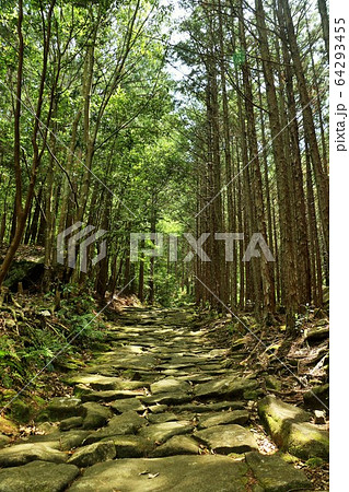 三重県　熊野古道　馬越峠 64293455