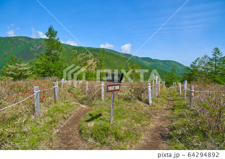 甘利山山頂の登山道から奥甘利山、千頭星山、駐車場方面への道標 64294892