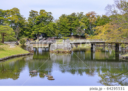 桜咲く彦根城 桜咲く彦根城 64295531