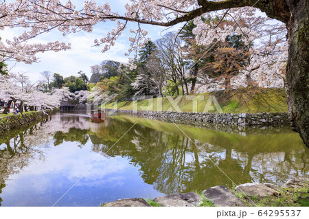 桜咲く彦根城 桜咲く彦根城 64295537