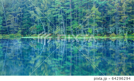 初秋の御射鹿池 64296294