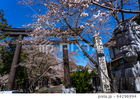 山梨県 冨士小室浅間神社の鳥居 山梨県 冨士小室浅間神社の鳥居 64296994