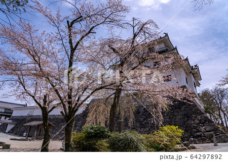 宮城県 春の白石城 復元された天守閣 三階櫓 宮城県 春の白石城 復元された天守閣 三階櫓 64297892