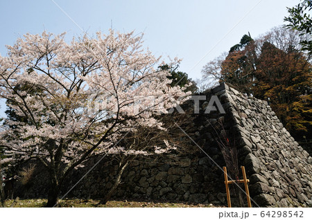 桜咲く高取城跡 桜咲く高取城跡 64298542