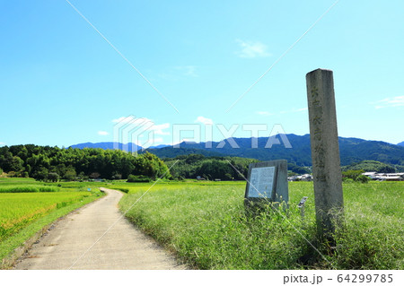 明日香村　史跡大官大寺跡 64299785