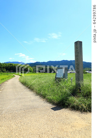 明日香村 史跡大官大寺跡 明日香村 史跡大官大寺跡 64299786
