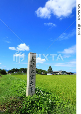 明日香村 史跡大官大寺跡 明日香村 史跡大官大寺跡 64299789